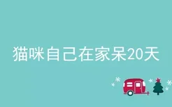 猫咪自己在家呆20天