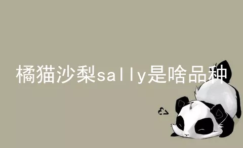 橘猫沙梨sally是啥品种