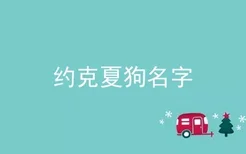 约克夏狗名字