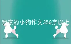 我家的小狗作文350字以上