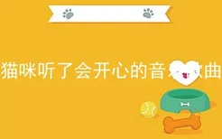 猫咪听了会开心的音乐歌曲