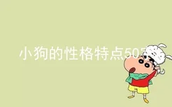 小狗的性格特点50字