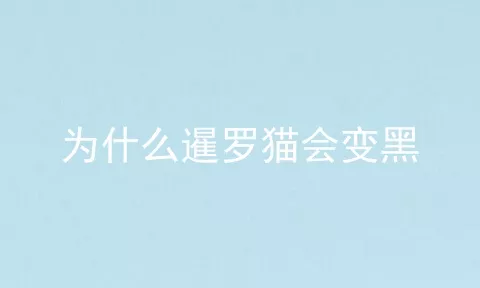 为什么暹罗猫会变黑