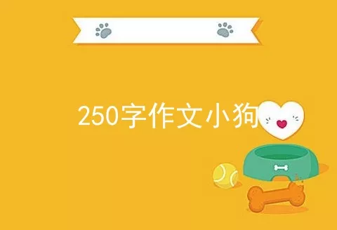 250字作文小狗