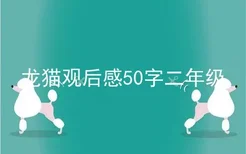 龙猫观后感50字二年级