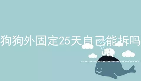 狗狗外固定25天自己能拆吗