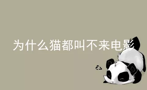 为什么猫都叫不来电影