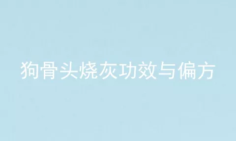 狗骨头烧灰功效与偏方