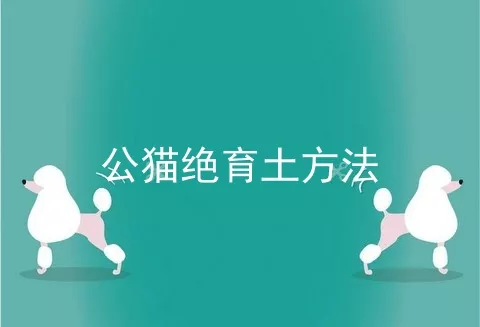 公猫绝育土方法