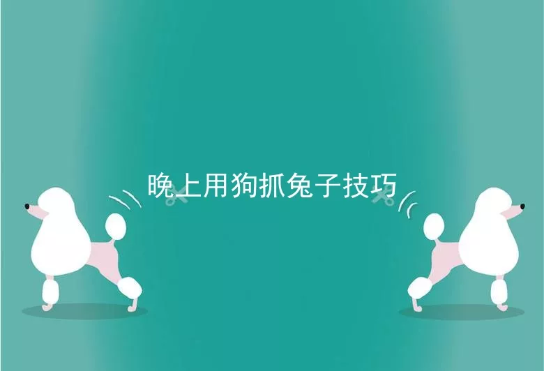 晚上用狗抓兔子技巧