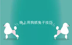 晚上用狗抓兔子技巧