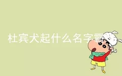 杜宾犬起什么名字霸气