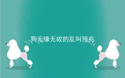 狗无缘无故的乱叫预兆