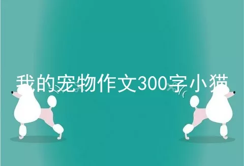 我的宠物作文300字小猫