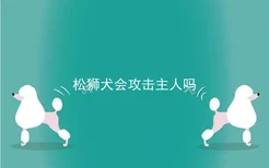 松狮犬会攻击主人吗