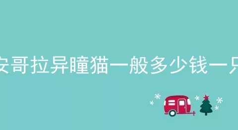 安哥拉异瞳猫一般多少钱一只