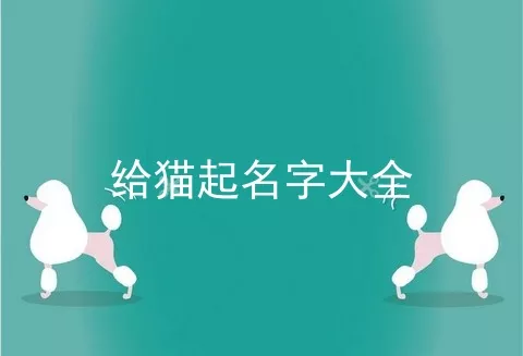 给猫起名字大全