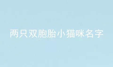 两只双胞胎小猫咪名字