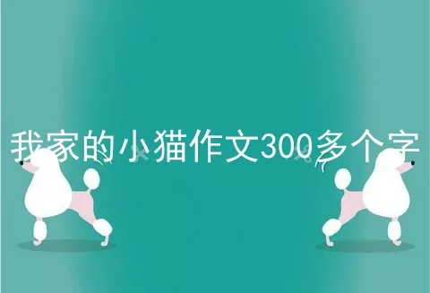 我家的小猫作文300多个字