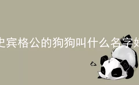 史宾格公的狗狗叫什么名字好