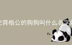 史宾格公的狗狗叫什么名字好