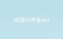 凶猫叫声音mp3