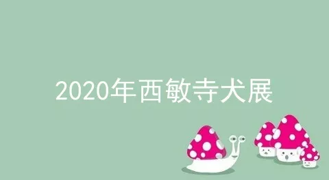 2020年西敏寺犬展