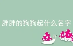 胖胖的狗狗起什么名字