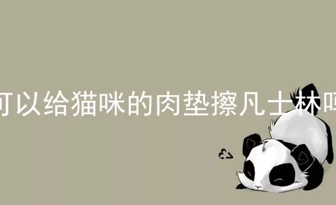 可以给猫咪的肉垫擦凡士林吗