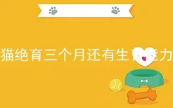 公猫绝育三个月还有生育能力吗