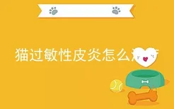 猫过敏性皮炎怎么治疗