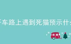 开车路上遇到死猫预示什么