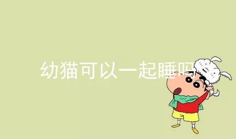 幼猫可以一起睡吗