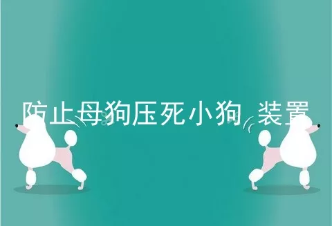 防止母狗压死小狗 装置