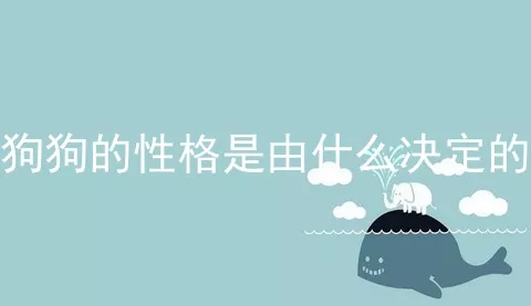 狗狗的性格是由什么决定的