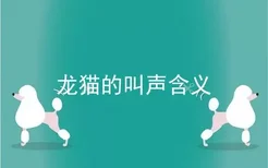 龙猫的叫声含义