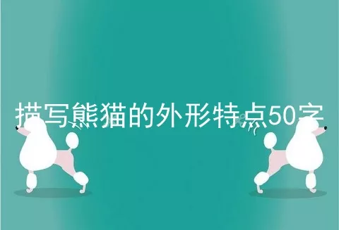 描写熊猫的外形特点50字