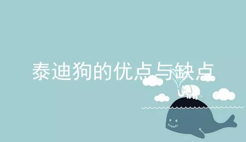 泰迪狗的优点与缺点