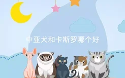 中亚犬和卡斯罗哪个好