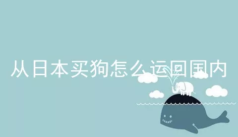 从日本买狗怎么运回国内