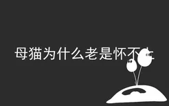 母猫为什么老是怀不上