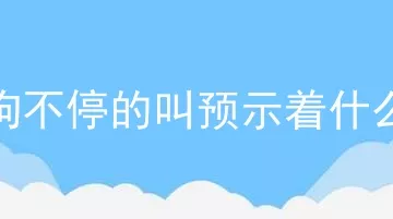 狗不停的叫预示着什么