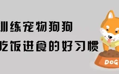 如何训练宠物狗狗养成吃饭进食的好习惯？