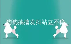 狗狗抽搐发抖站立不稳