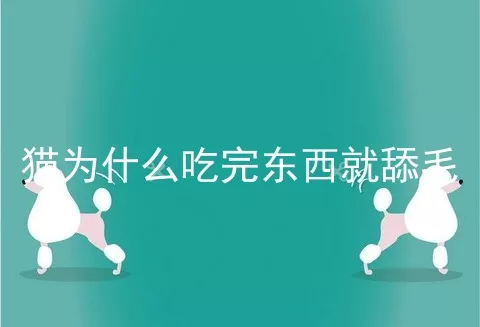 猫为什么吃完东西就舔毛