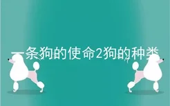 一条狗的使命2狗的种类