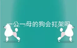 一公一母的狗会打架吗