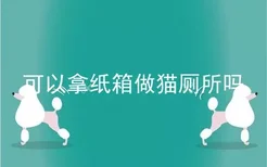 可以拿纸箱做猫厕所吗