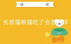 劣质猫粮猫吃了会怎么样