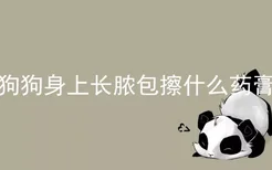 狗狗身上长脓包擦什么药膏